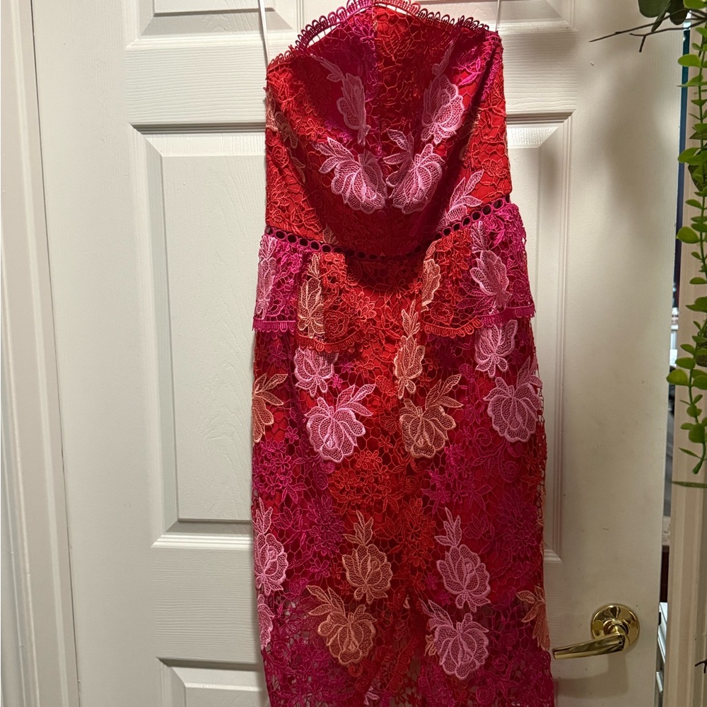 Elliatt Strapless Dress in Red and Pink Lace